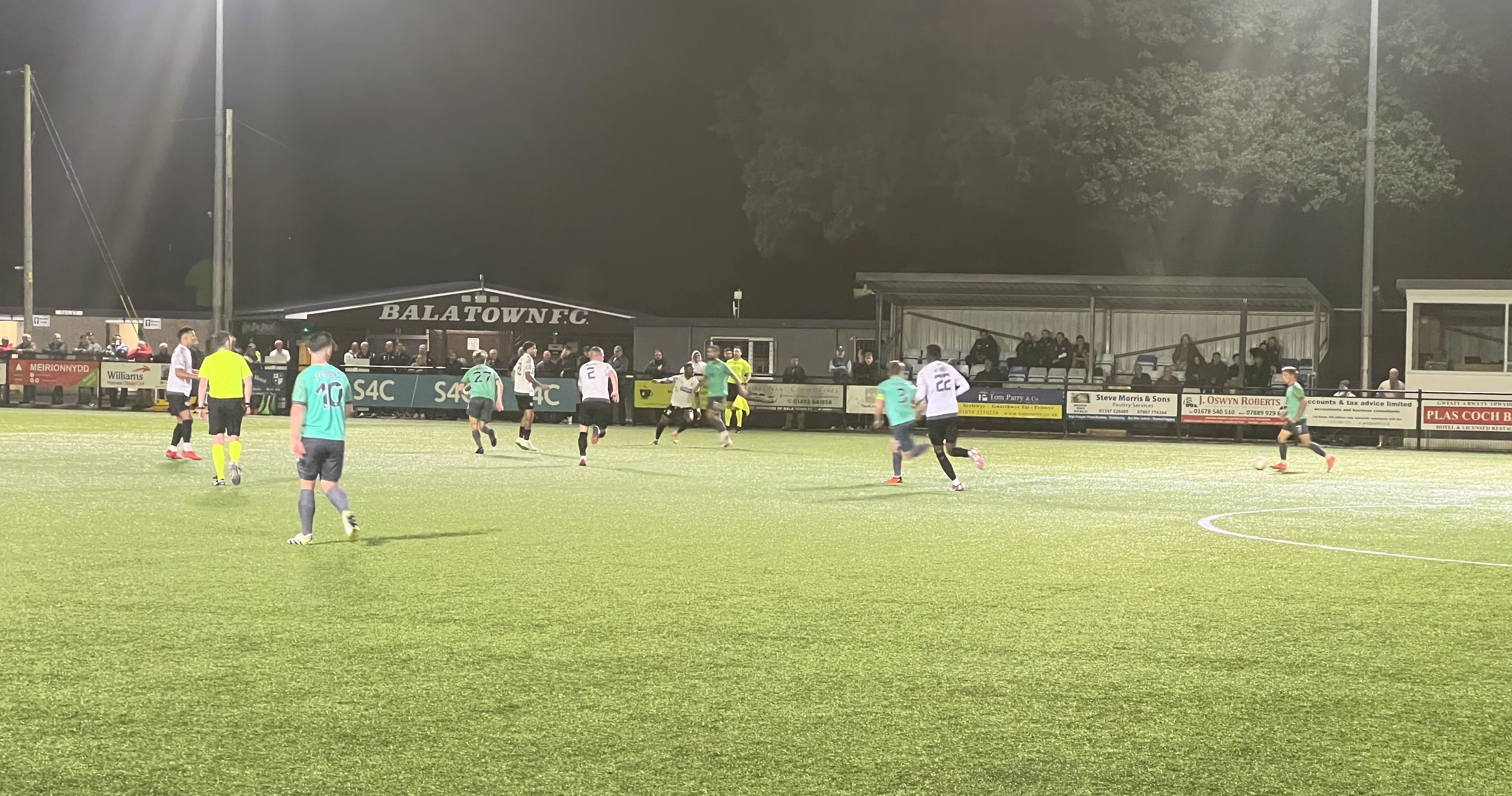 Bala Town and The New Saints share the spoils at Maes Tegid